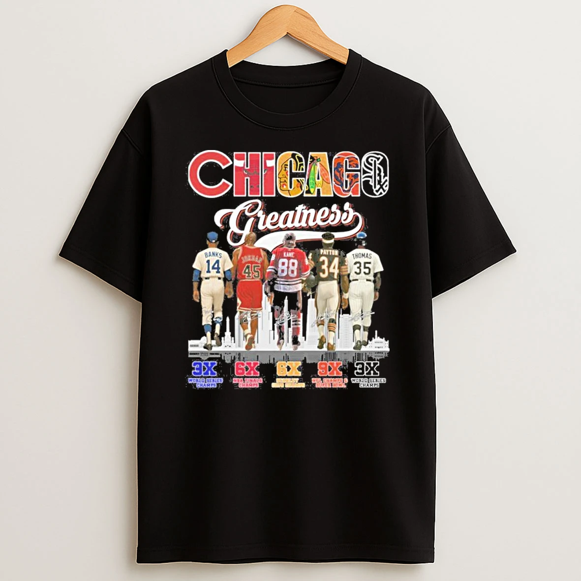 Chicago Sports Teams Players Greatness Tshirt Hoodie