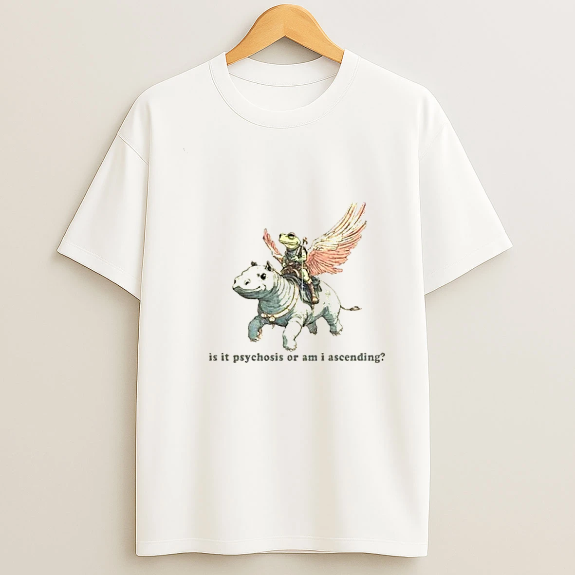 Frog Driving Hippo Is It Psychosis Or Am I Ascending Tshirt Hoodie