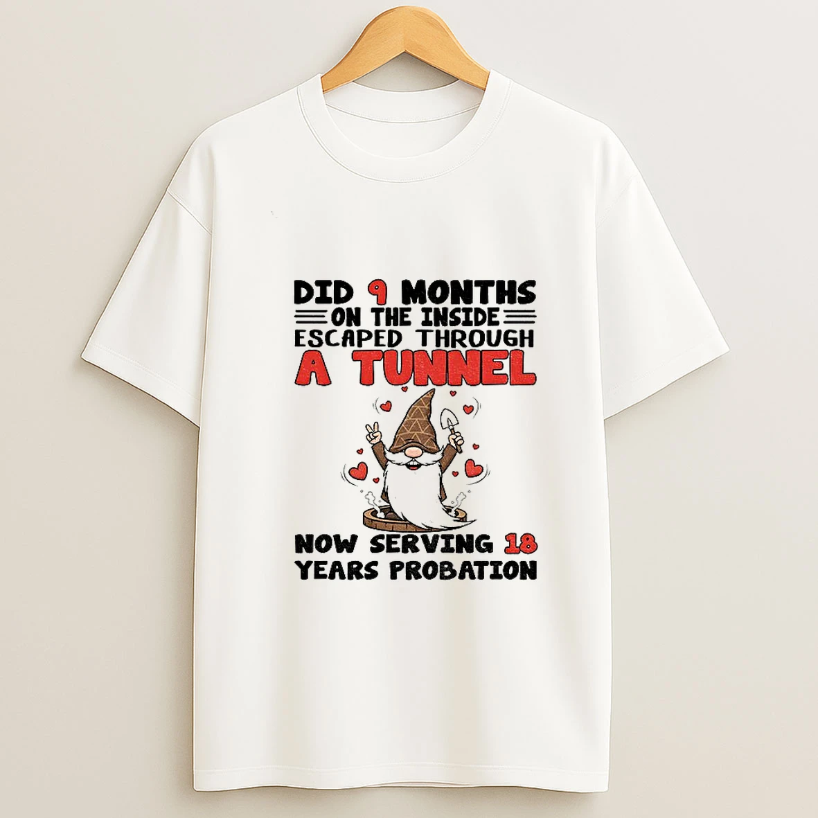 Gnome Did 9 Months On The Inside Escaped Through A Tunnel Now Serving 18 Years Probation Tshirt Hoodie