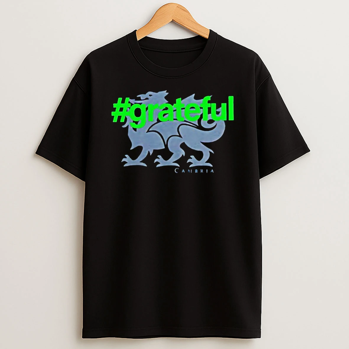 Grateful Cambria Revived Tshirt Hoodie