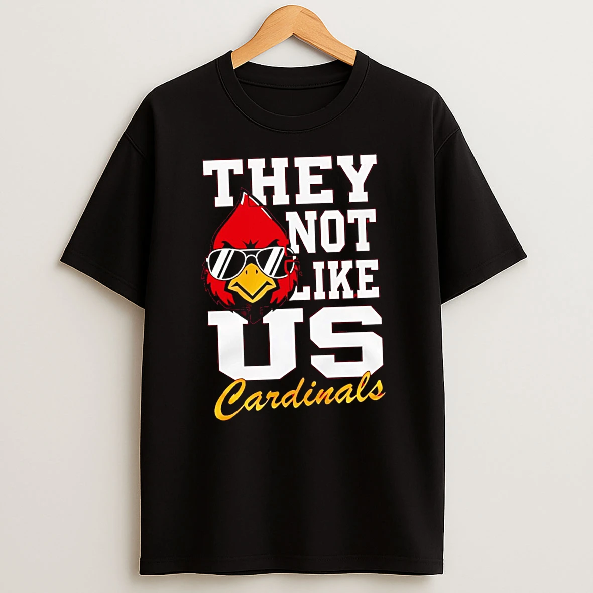 Louisville Cardinals 2025 Ncaa They Not Like Us Tshirt Hoodie