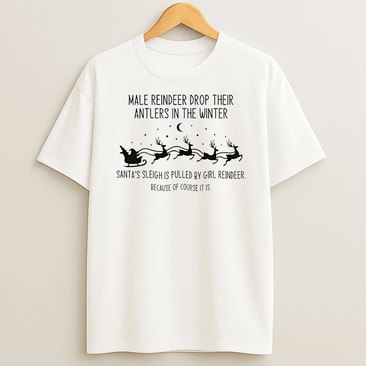 Male Reindeer Drop Their Antlers In The Winter Circle Tshirt Hoodie