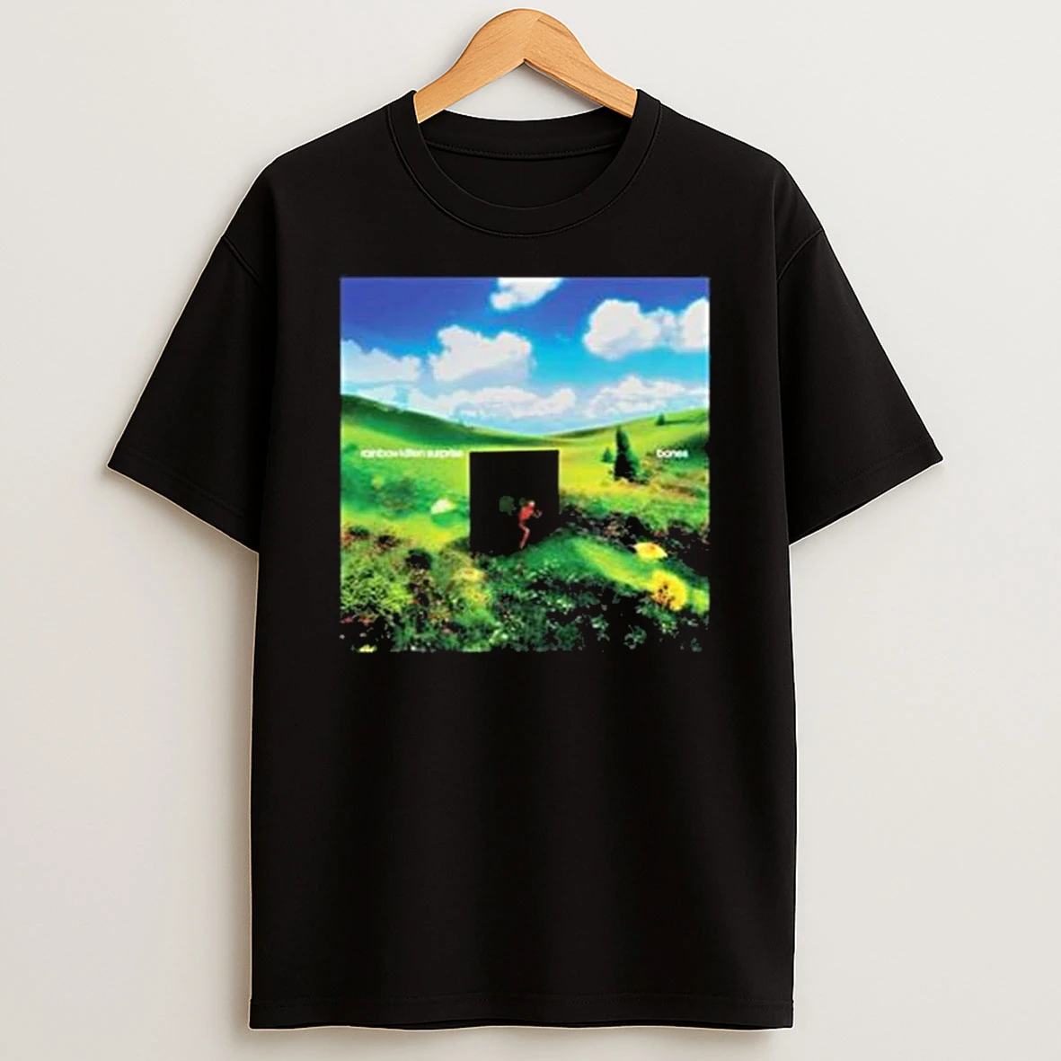 Rainbow Kitten Surprise Bones Tshirt Hoodie