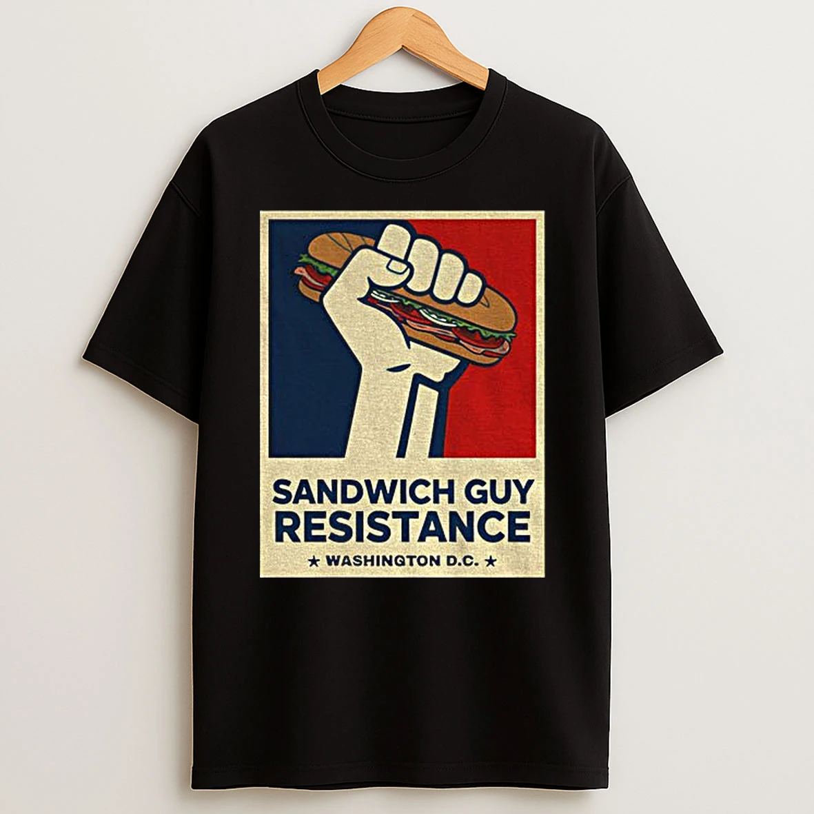 Sandwich Guy Resistance Washington D C Protest Vintage Tshirt Hoodie