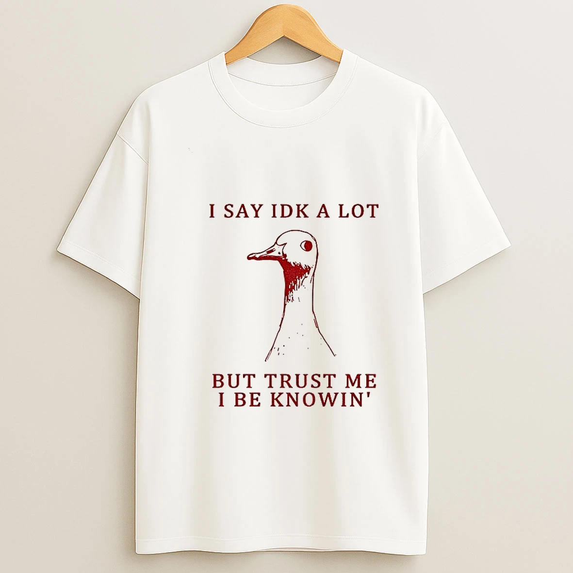 Silly Goose Understands Everything I Say Idk A Lot But Trust Me I Be Knowin Tshirt Hoodie