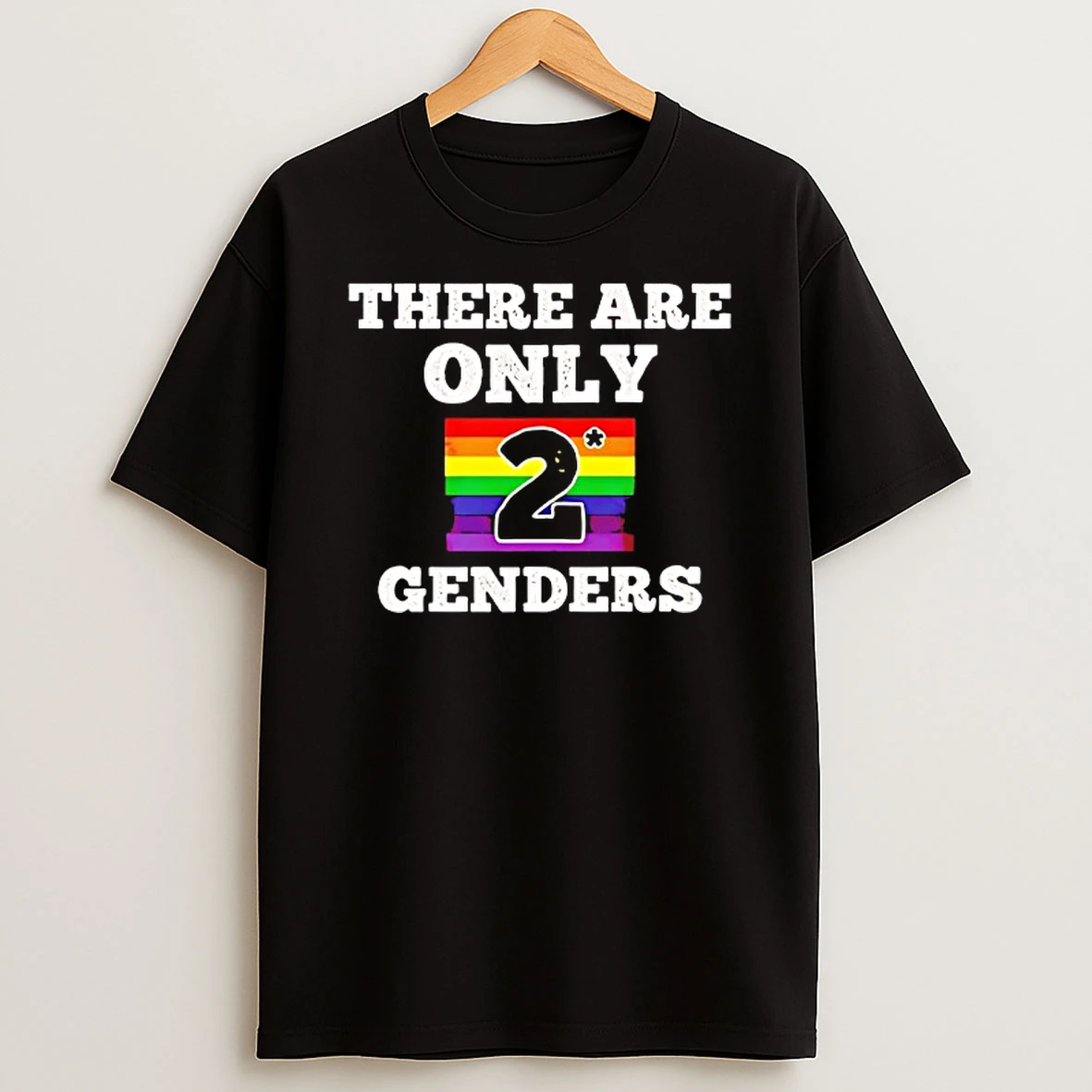 There Are Only 2 Genders Pride Flag Tshirt Hoodie