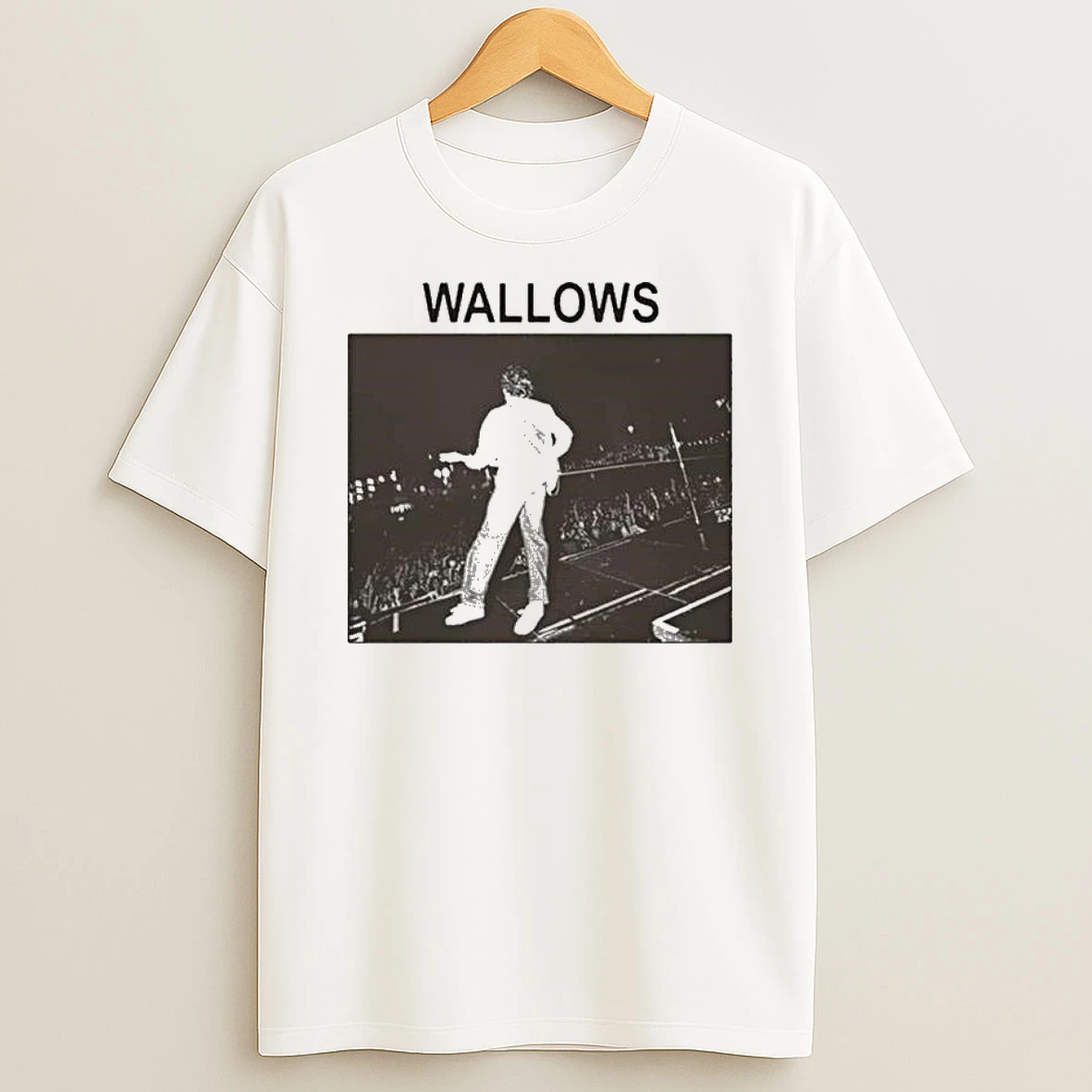 Wallows Stage Crowd Photo Tshirt Hoodie