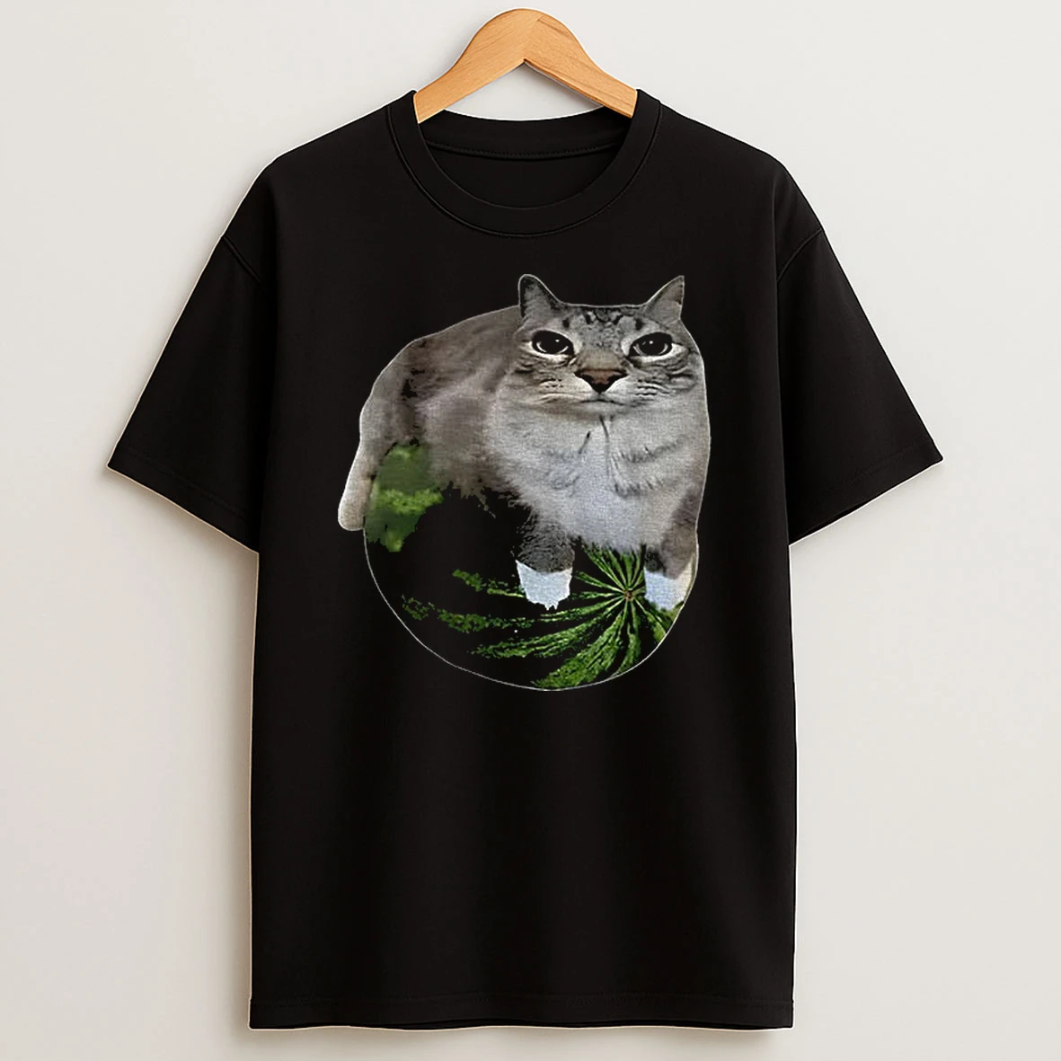 Watermelon Cat Funny Tshirt Hoodie