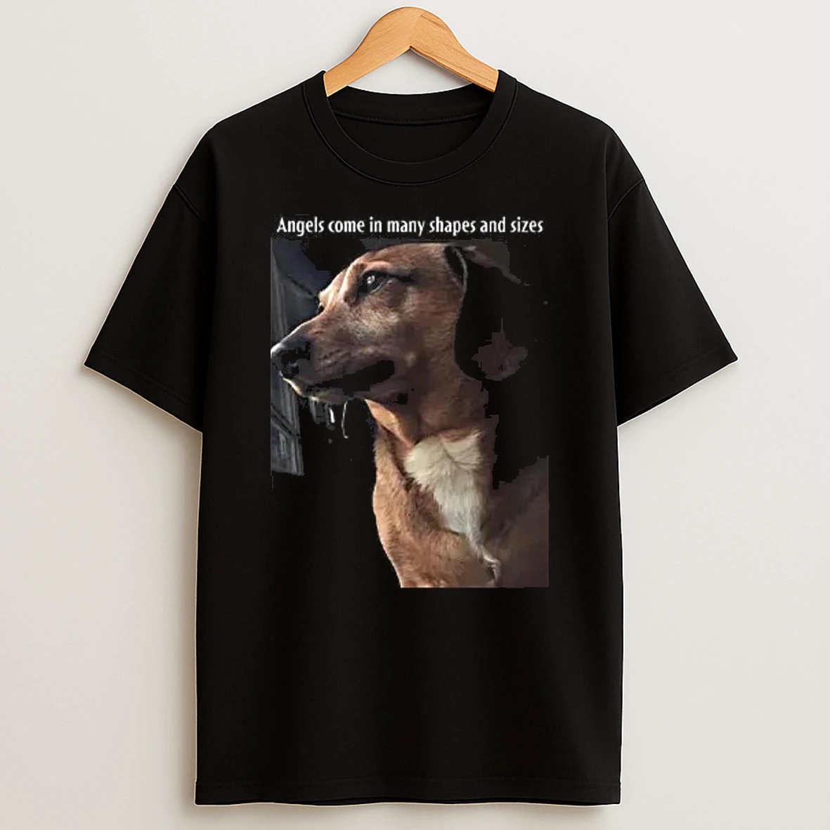 Angels Come In Many Shapes And Sizes Frankie T Shirt