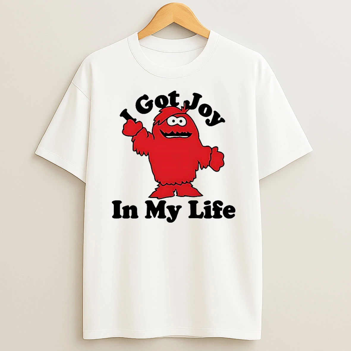 Ben Rector I Got Joy In My Life T Shirt