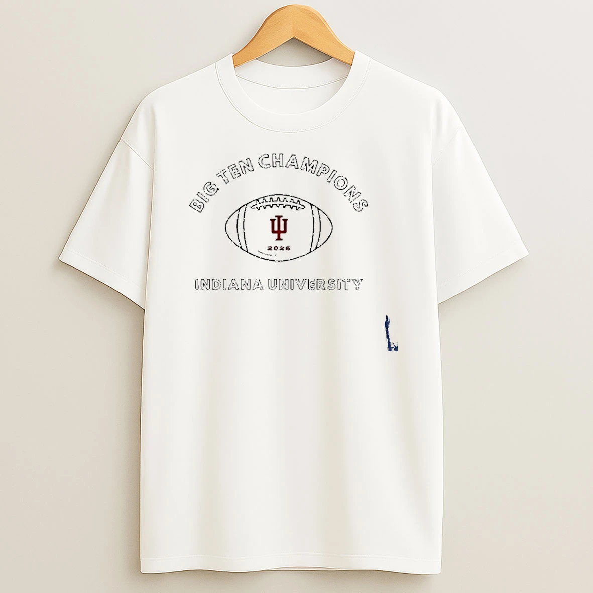 Big Ten Champions Ball Indiana University T Shirt