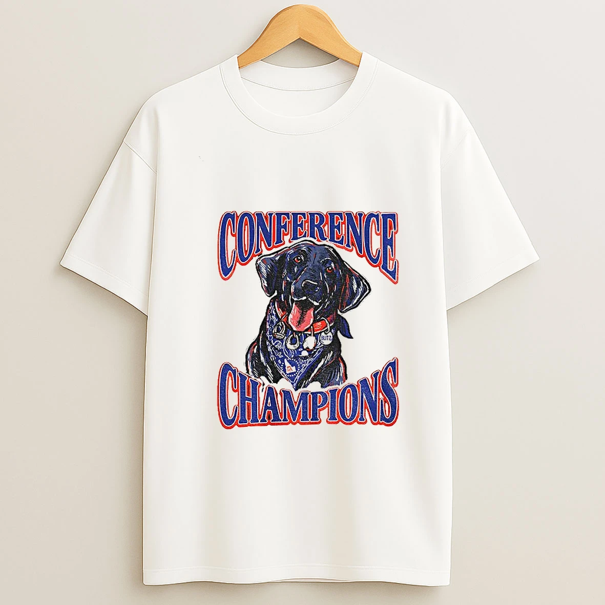 Boise State Broncos Back To Back Conference Champions Blitz T Shirt