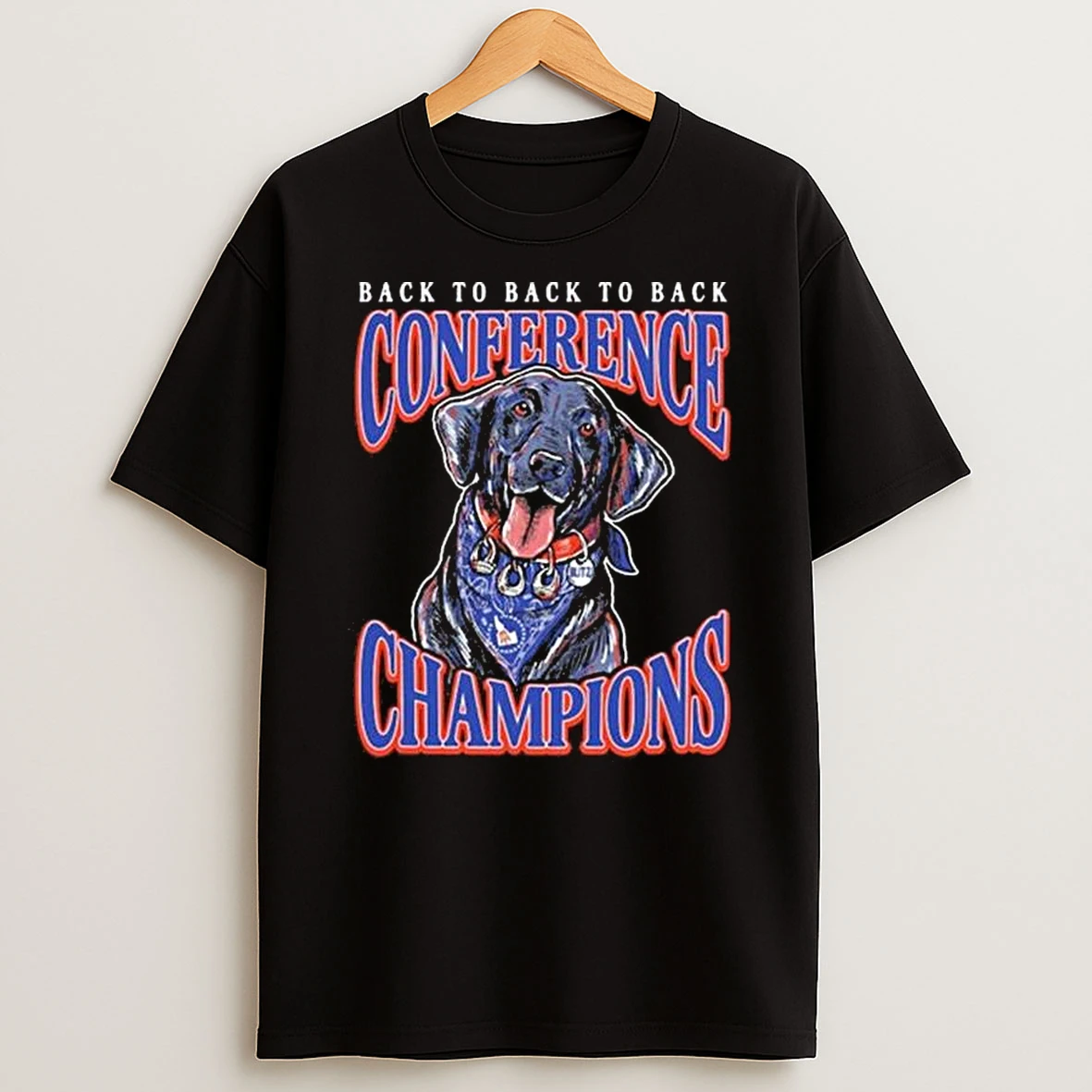 Boise State Broncos Back To Back To Back Conference Champions Blitz T Shirt