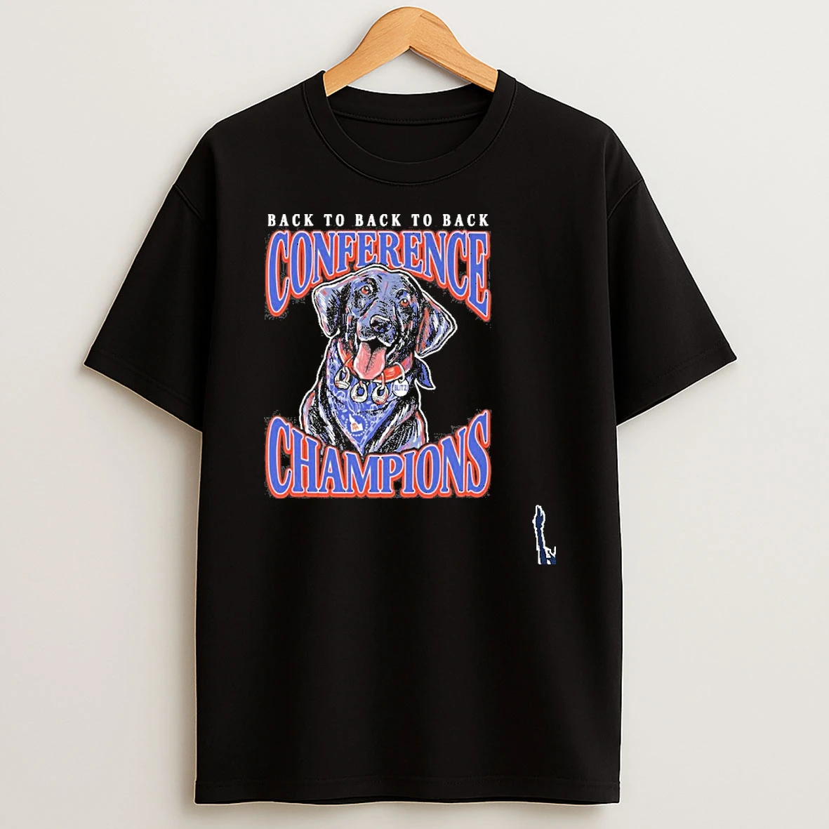 Boise State Football Back To Back To Back Conference Champions Blitz T Shirt