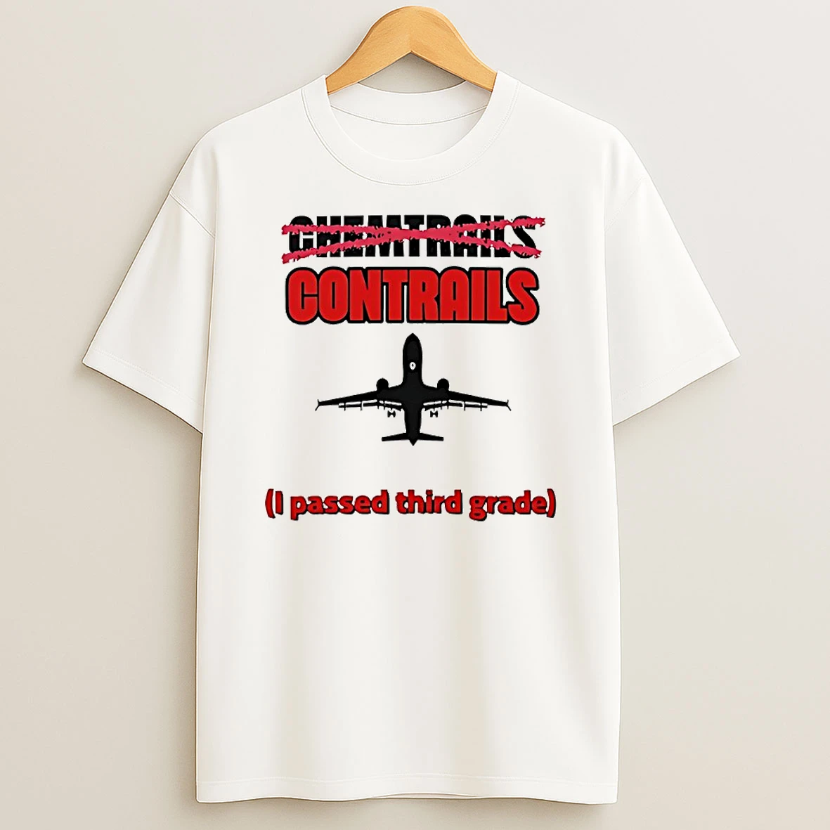 Chemtrails Contrails I Passed Third Grade Circle T Shirt