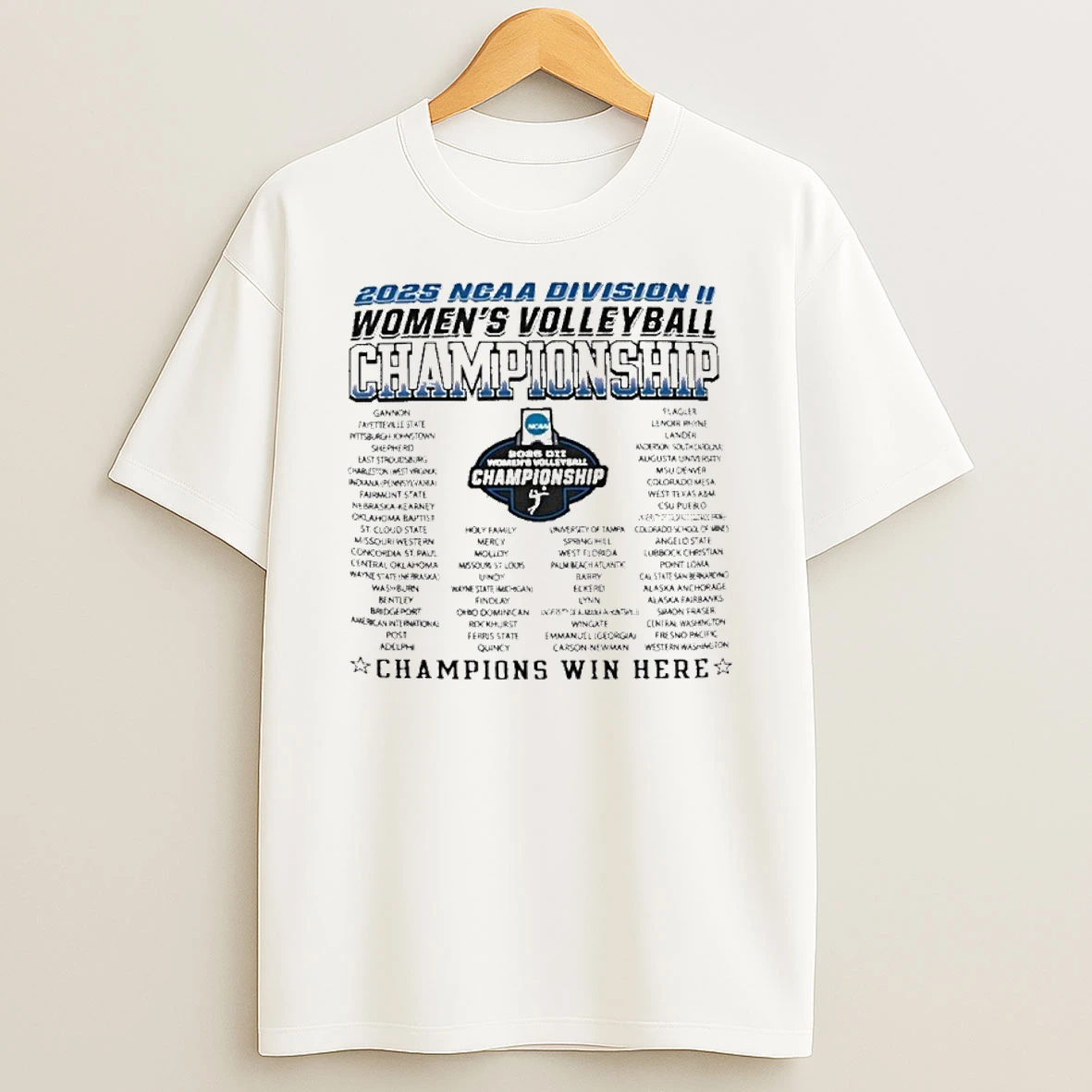 Dii Womens Volleyball Regionals 2025 T Shirt