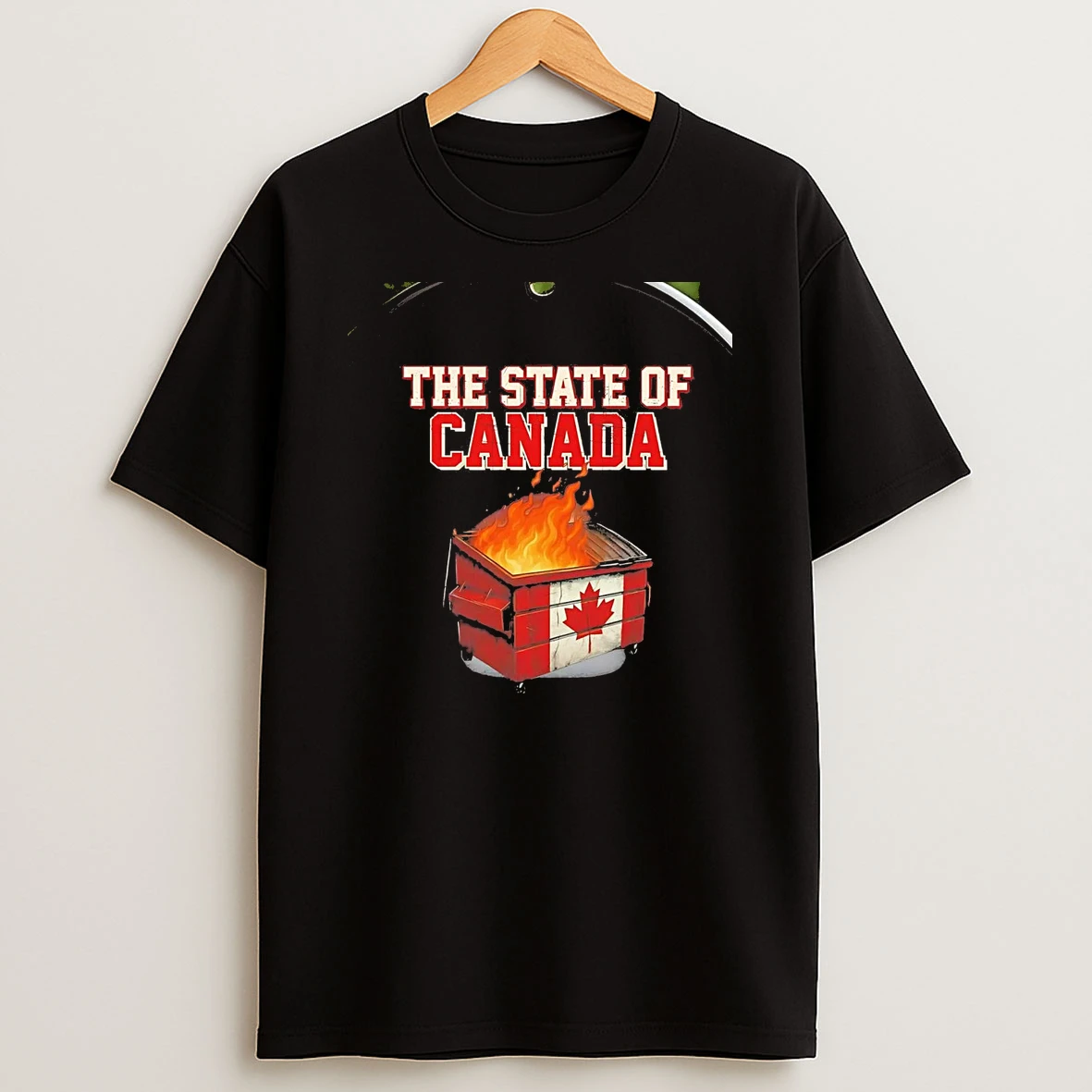 Dumpster Fire State Of Canada Chriast T Shirt