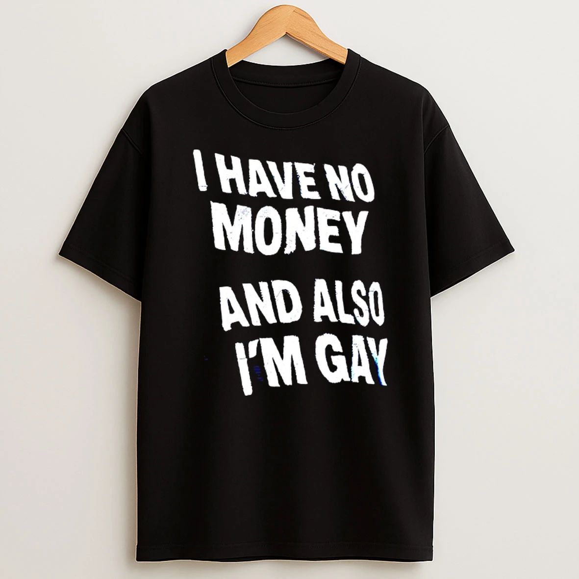 I Have No Money And Also Im Gay Text T Shirt