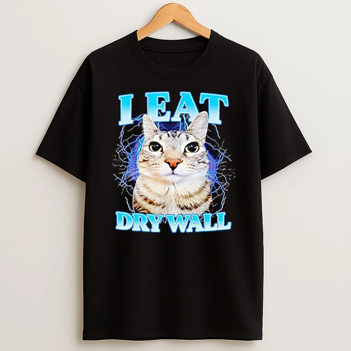 I Eat Dry Wall Silly Cat T Shirt