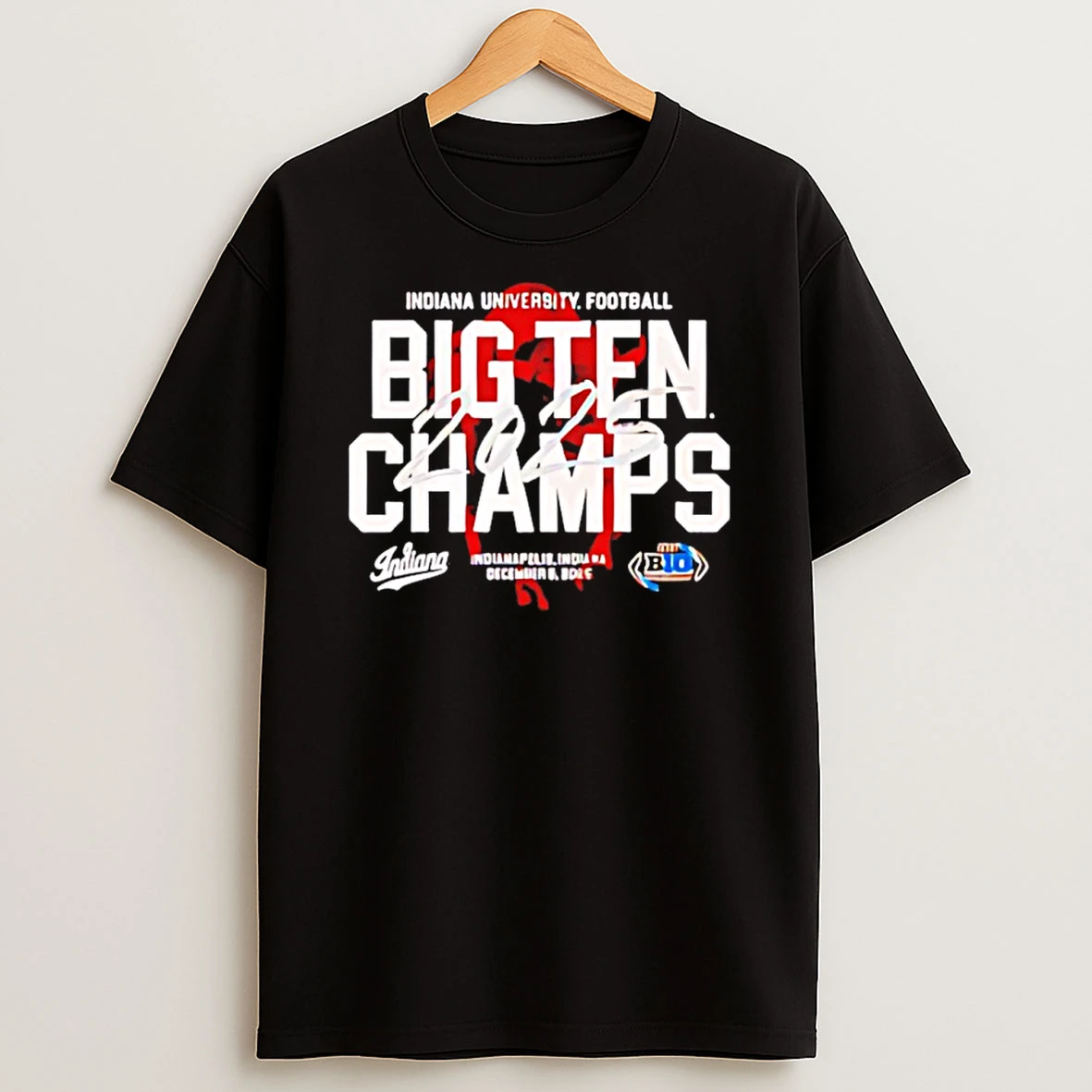 Indiana 2025 Big Ten Champs Bison Graphic T Shirt