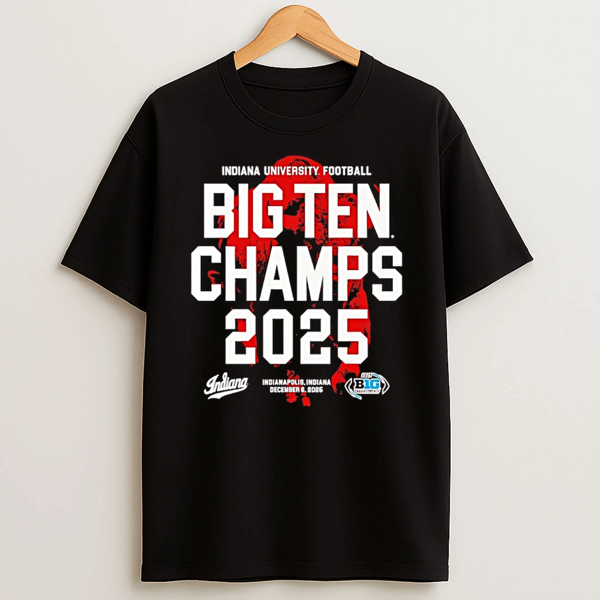 Indiana Hoosiers 2025 Big Ten Champs Bison Vintage T Shirt