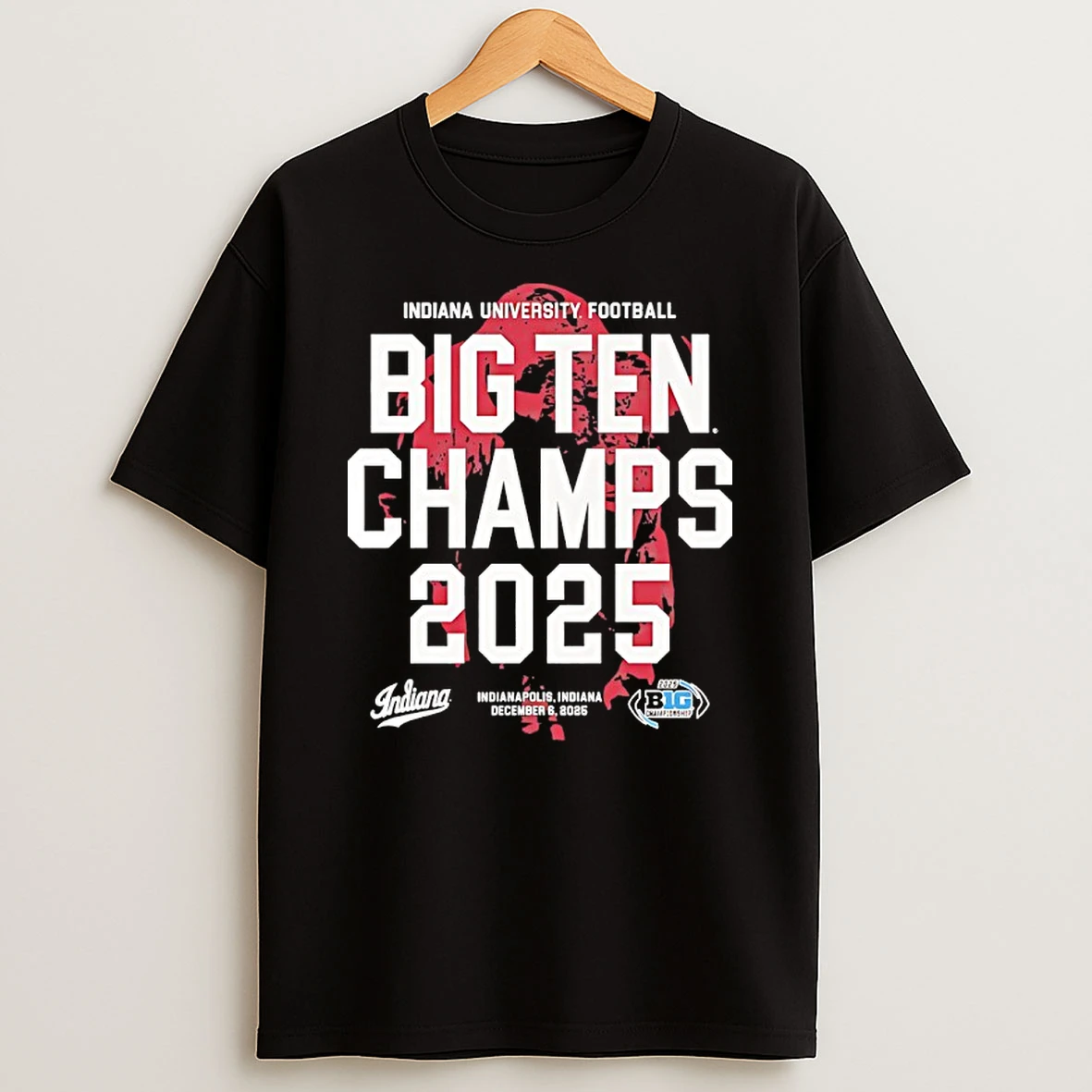 Indiana University Football 2025 Big Ten Champs Bison T Shirt
