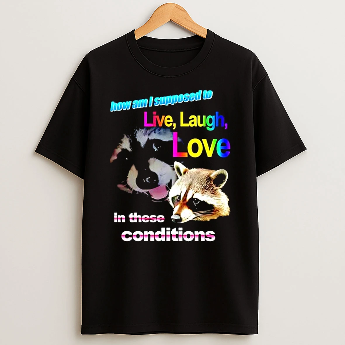 Live Laugh Love Raccoon Rainbow Graphic T Shirt
