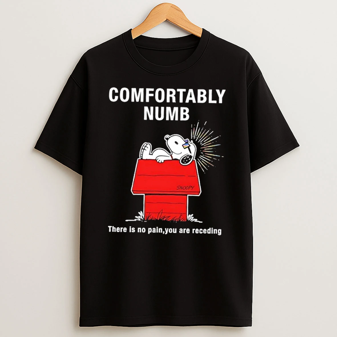 Peanuts Snoopy Confortably Numb There Is No Pain You Are Receding T Shirt