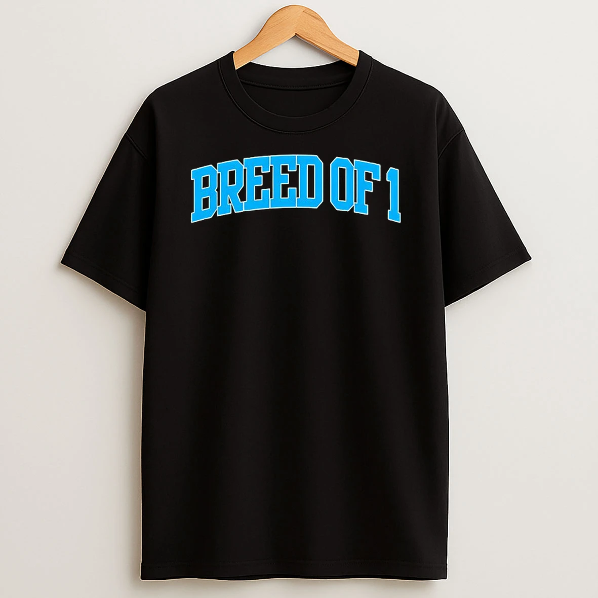 Philadelphia Eagles Football Breed Of 1 T Shirt