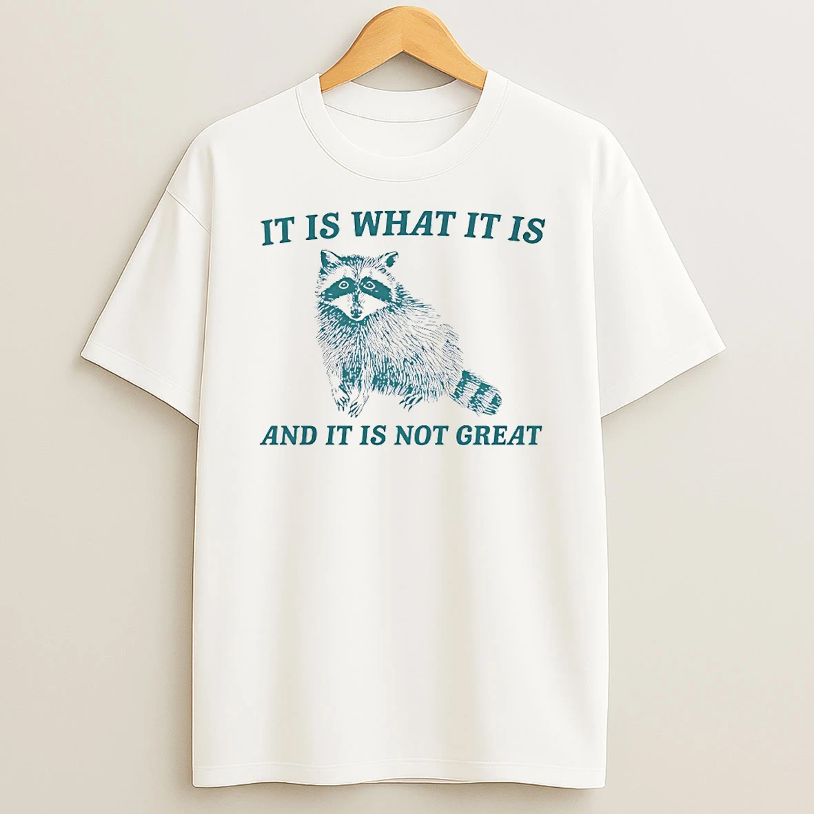 Raccoon It Is What It Is And It Is Not Great Circle T Shirt