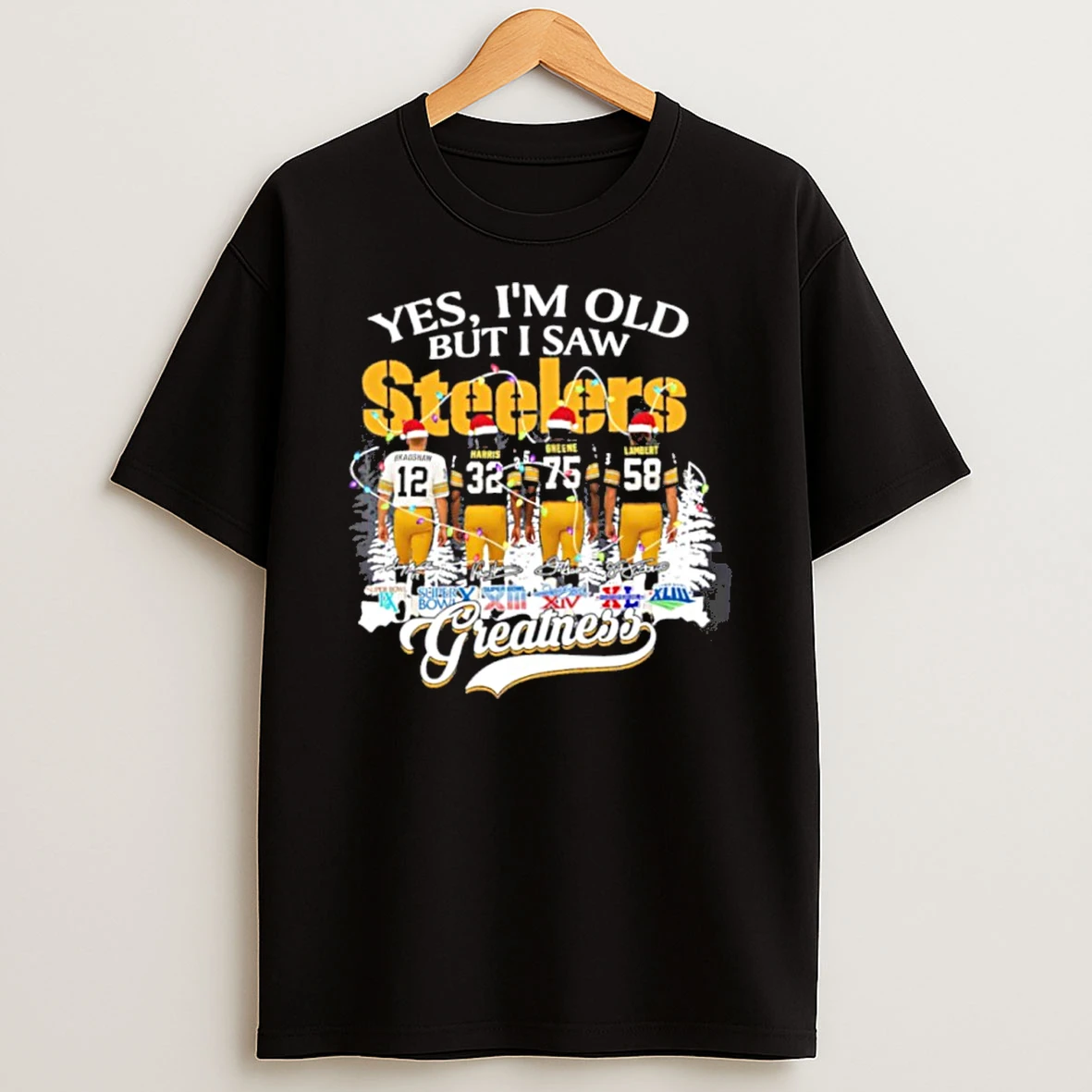 Yes Im Old But I Saw Steelers Player Signature Greatness T Shirt