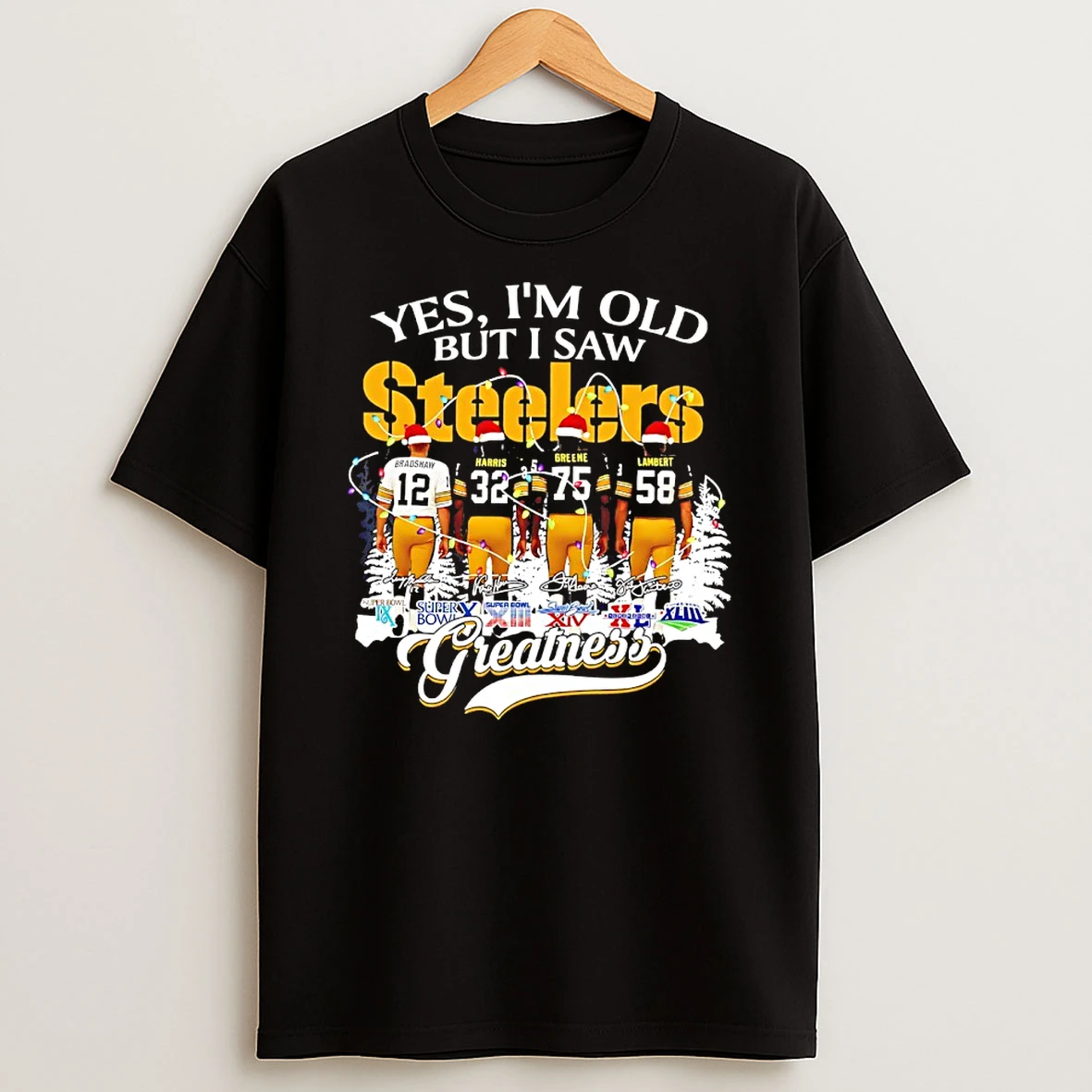 Yes Im Old But I Saw Pittsburgh Steelers Greatness 6x Super Bowl T Shirt