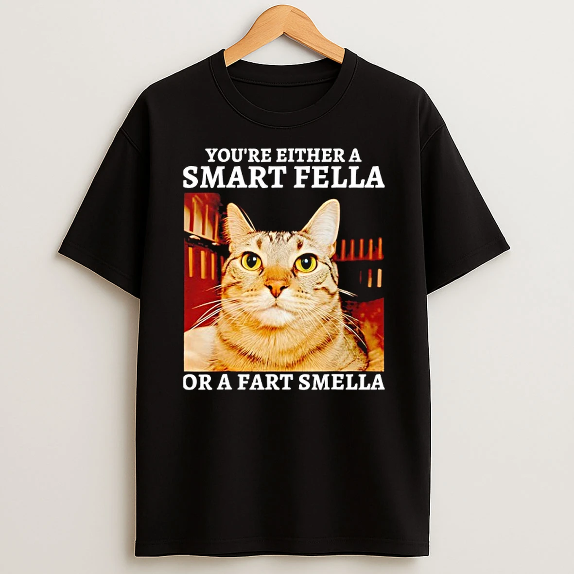 Youre Either A Smart Fella Or A Fart Smella Funny Cat T Shirt