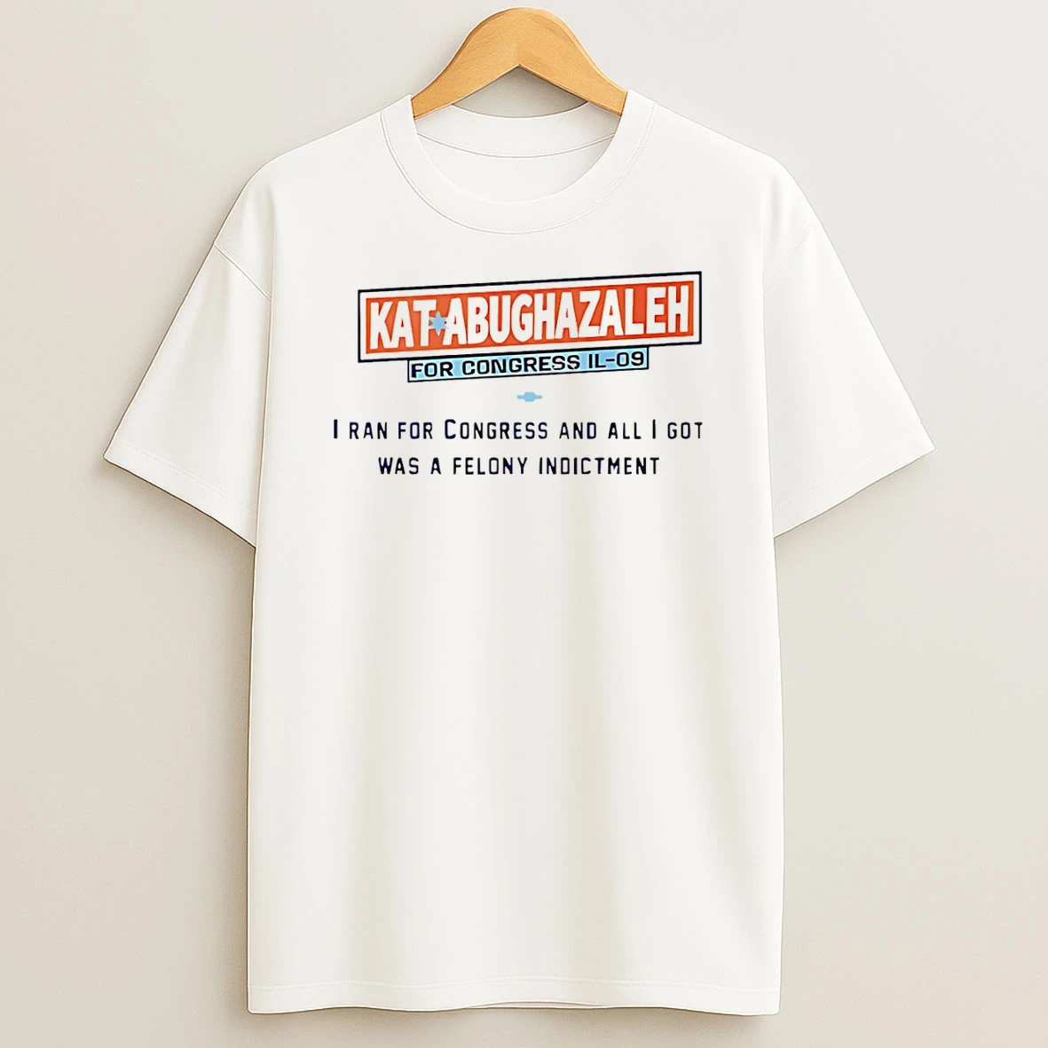 Vflippa Schmidtstee 20251222_123535 107_kat Abughazaleh For Congress Il 09 I Ran For Congress And All I Got Was A Felony Indictment T Shirt