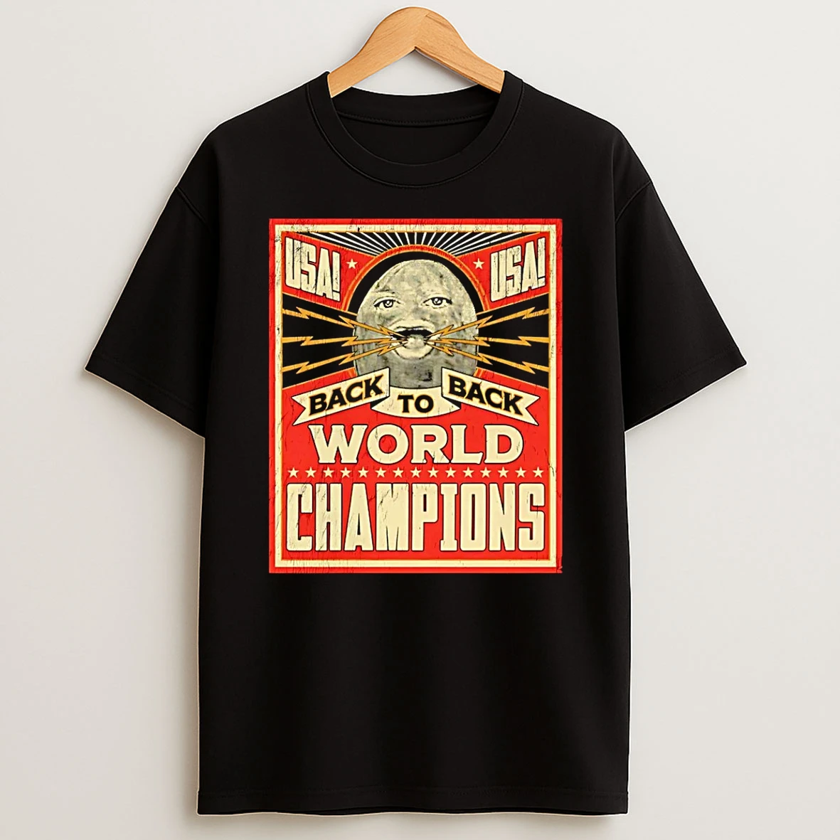 Vflippa Schmidtstee 20251222_130900 43_the Burnt Peanut Usa Back To Back World Champions T Shirt