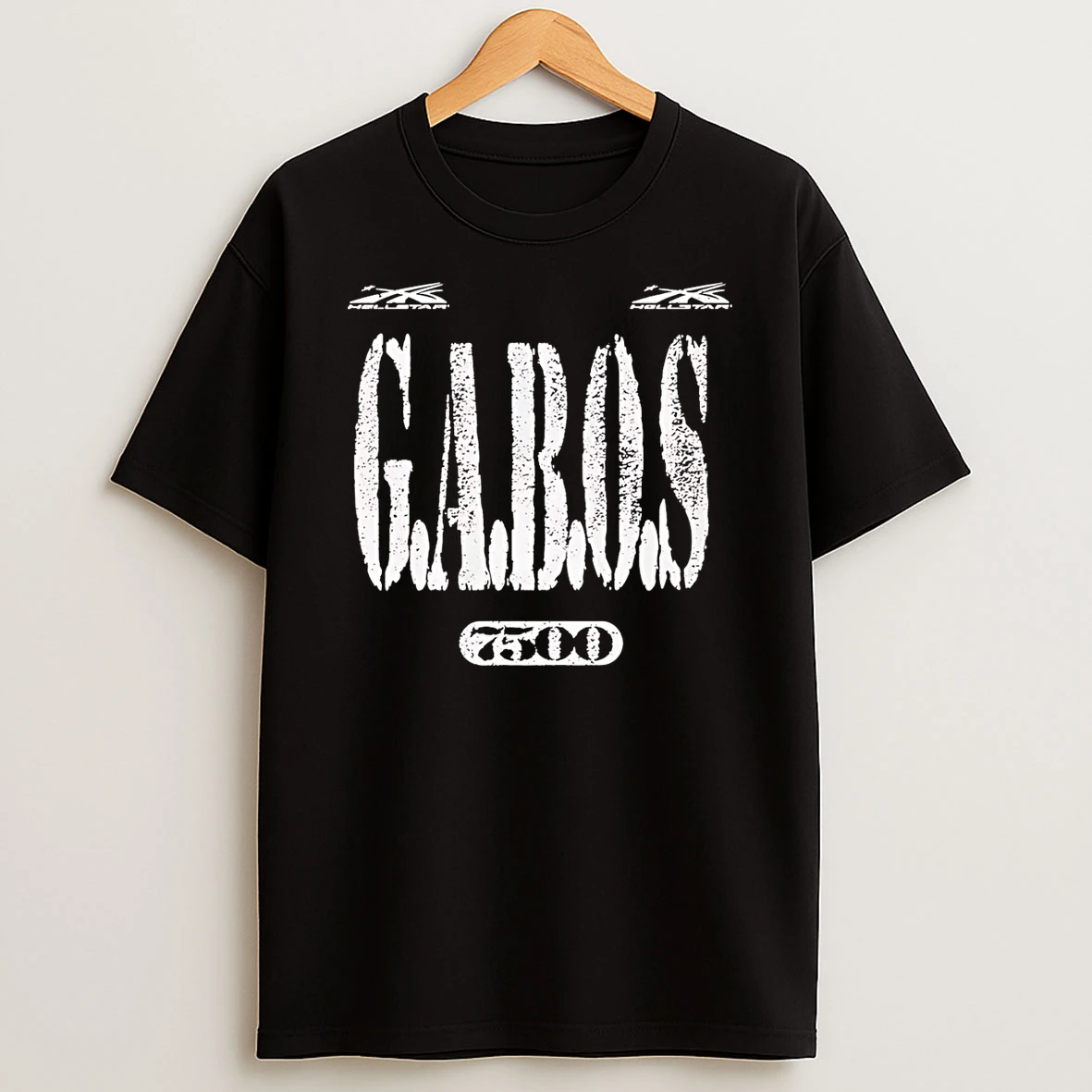 Vflippa Schmidtstee 20251223_130006 132_hellstar And Malachi Toney Gabos T Shirt