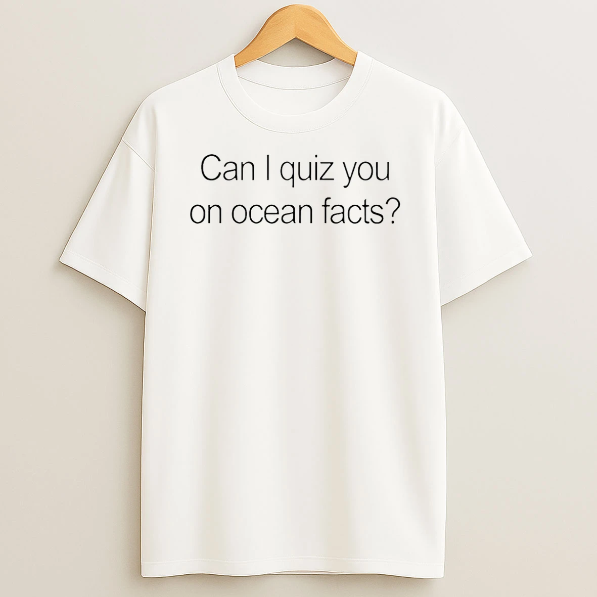 Vflippa Schmidtstee 20251224_174200 144_can I Quiz You On Ocean Facts T Shirt