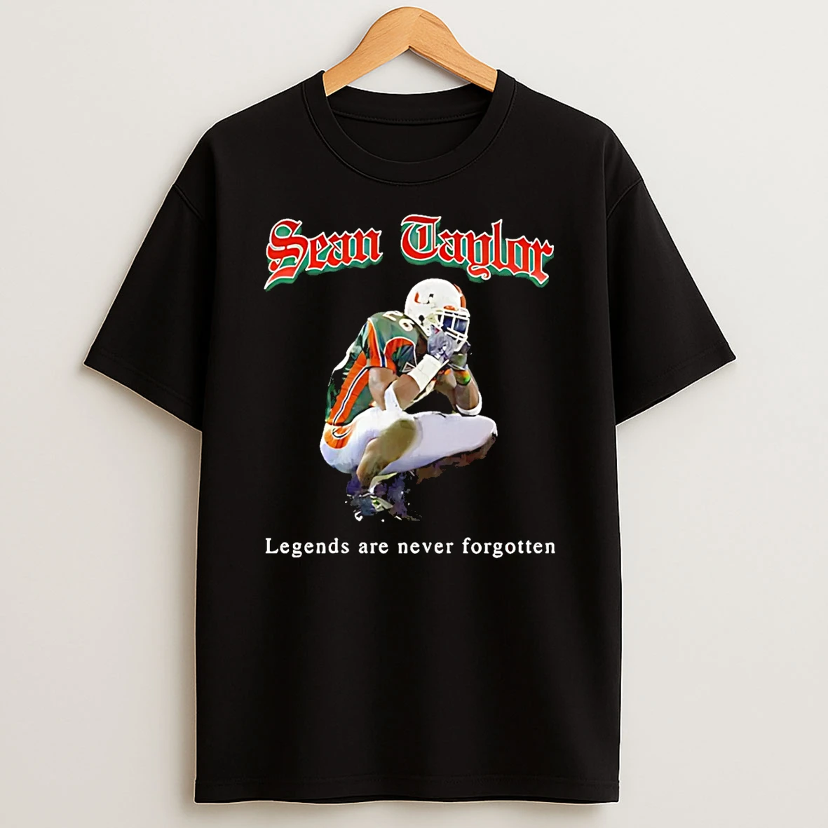 Vflippa Schmidtstee 20251224_174200 144_sean Taylor Miami Hurricanes Legends Are Never Forgotten T Shirt