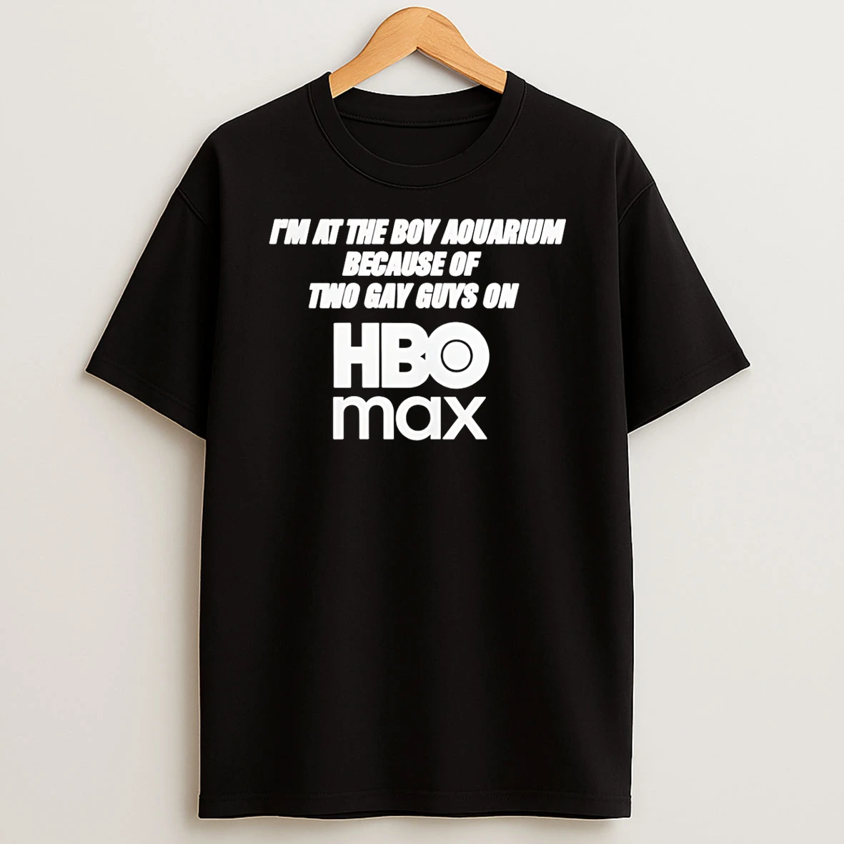 Vflippa Schmidtstee 20251224_174200 144_stella Chuu Wearing Im At The Boy Aouarium Because Of Two Gay Guys On Hbo Max T Shirt
