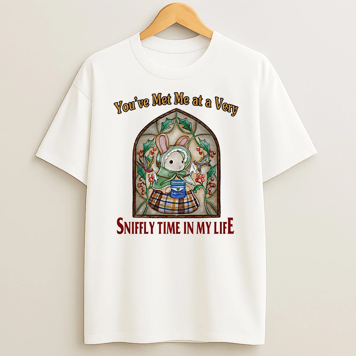 Vflippa Techteesusa 20251211_163320 39_bunny Youve Met Me At A Very Sniffly Time In My Life Circle T Shirt