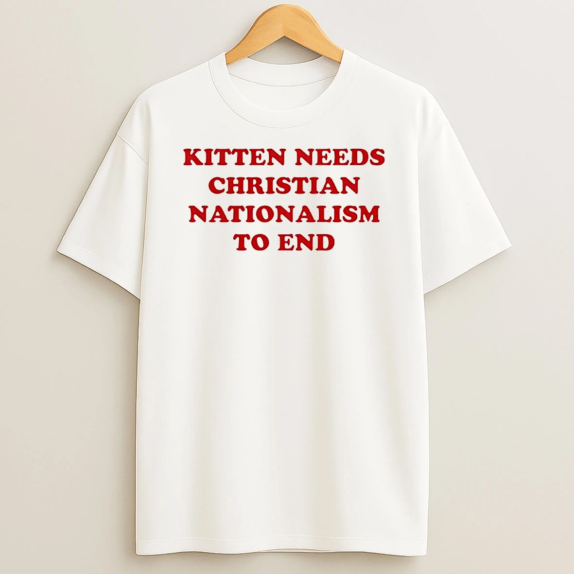 Vflippa Techteesusa 20251211_163320 39_kitten Needs Christian Nationalism To End Circle T Shirt