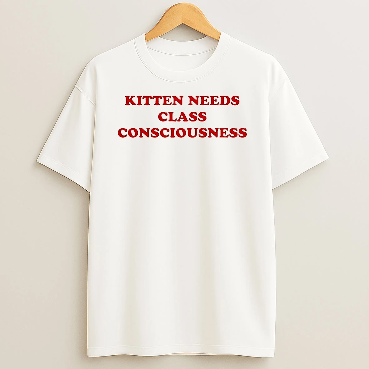 Vflippa Techteesusa 20251211_163320 39_kitten Needs Class Consciousness Circle T Shirt