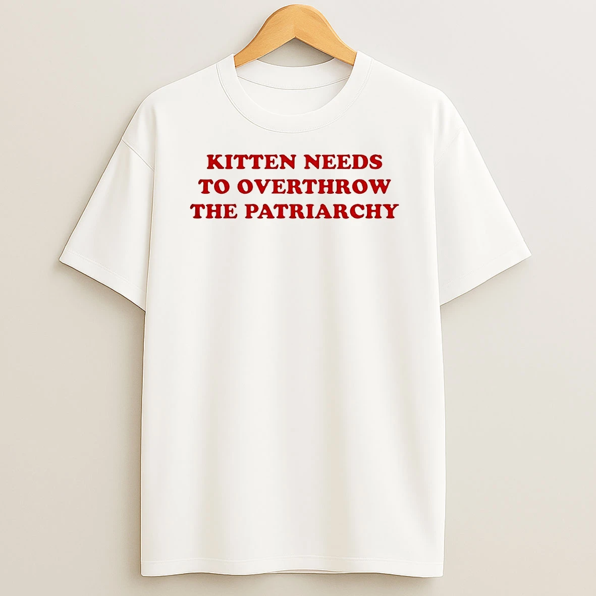 Vflippa Techteesusa 20251211_163320 39_kitten Needs To Overthrow The Patriarchy Circle T Shirt