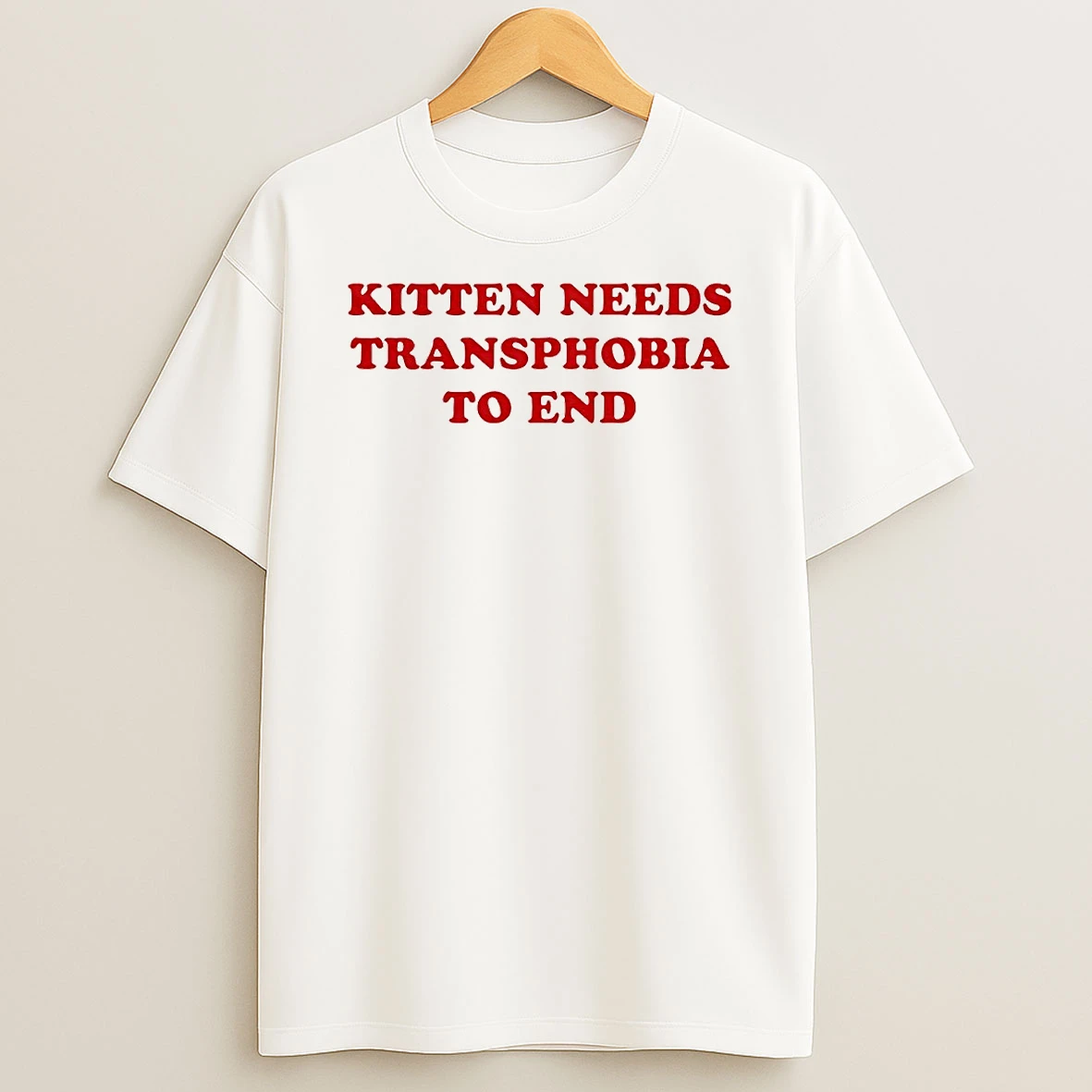 Vflippa Techteesusa 20251211_163320 39_kitten Needs Transphobia To End Circle T Shirt