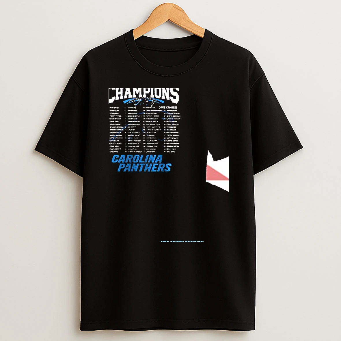2025 Nfc North Division Champions Carolina Panthers Helmet Logo T Shirt