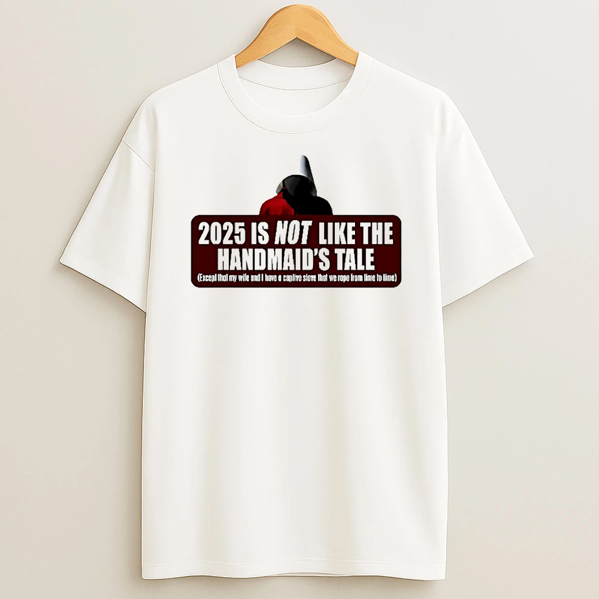2025 Is Not Like The Handmaids Tale Circle T Shirt