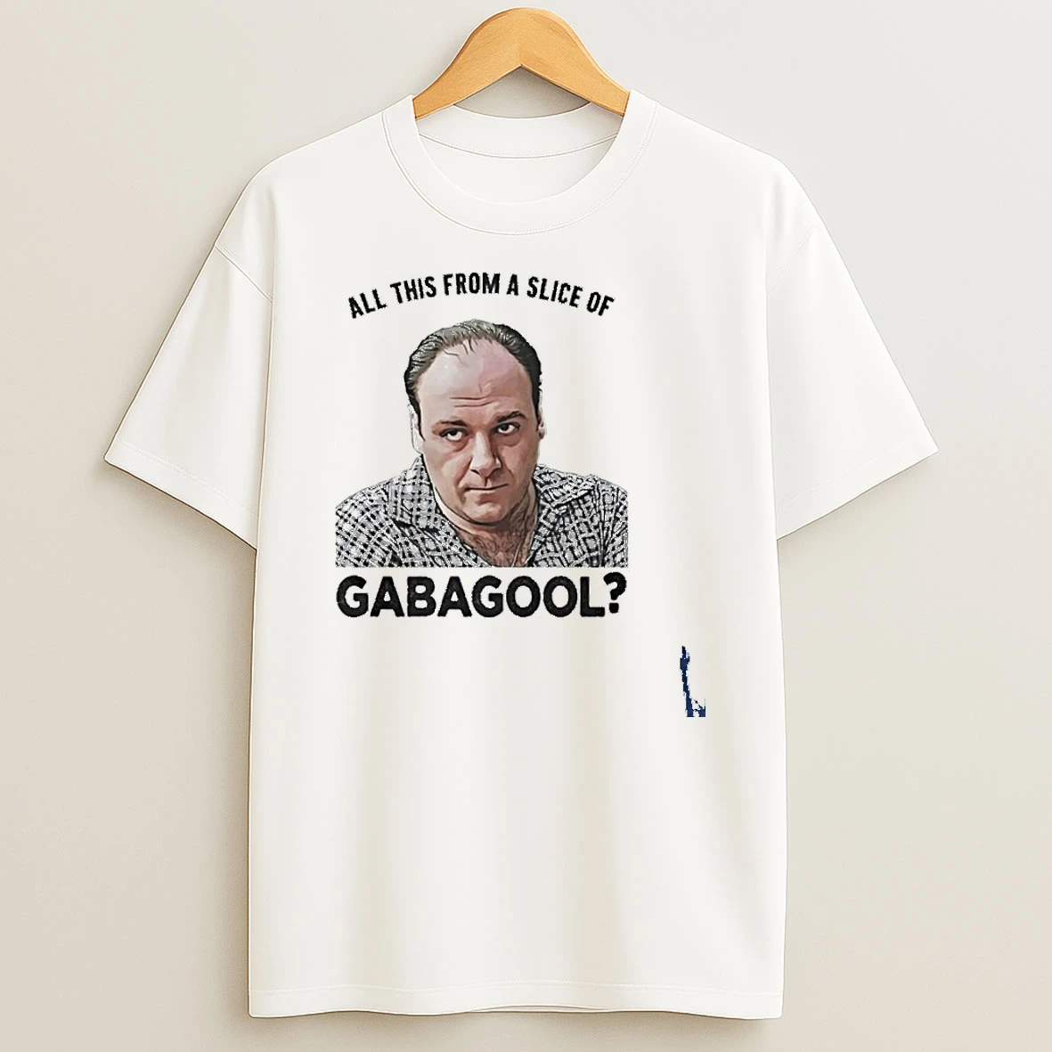 All This From A Slice Of Gabagool T Shirt