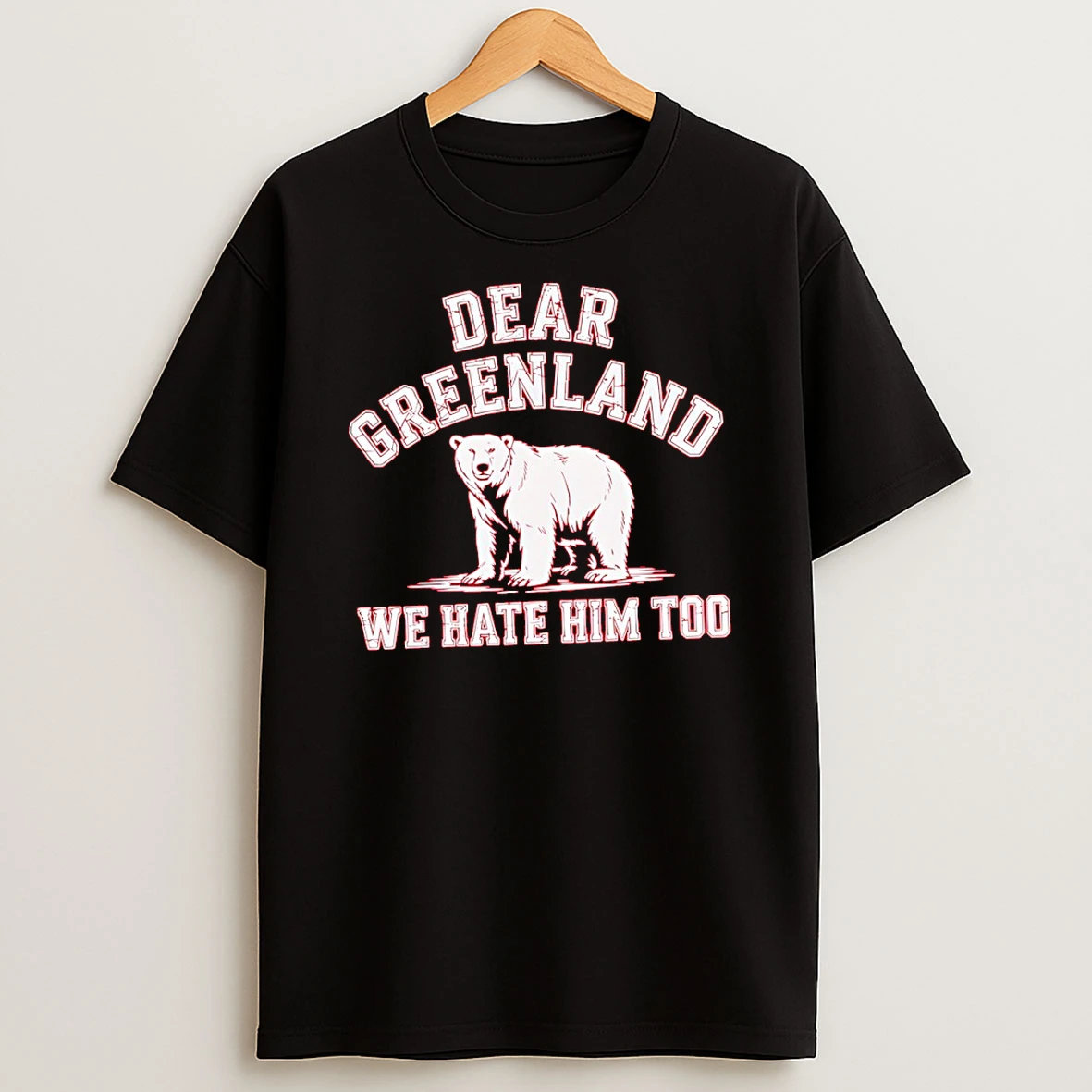 Dear Greenland We Hate Him Too Greenland Anti Trump T Shirt