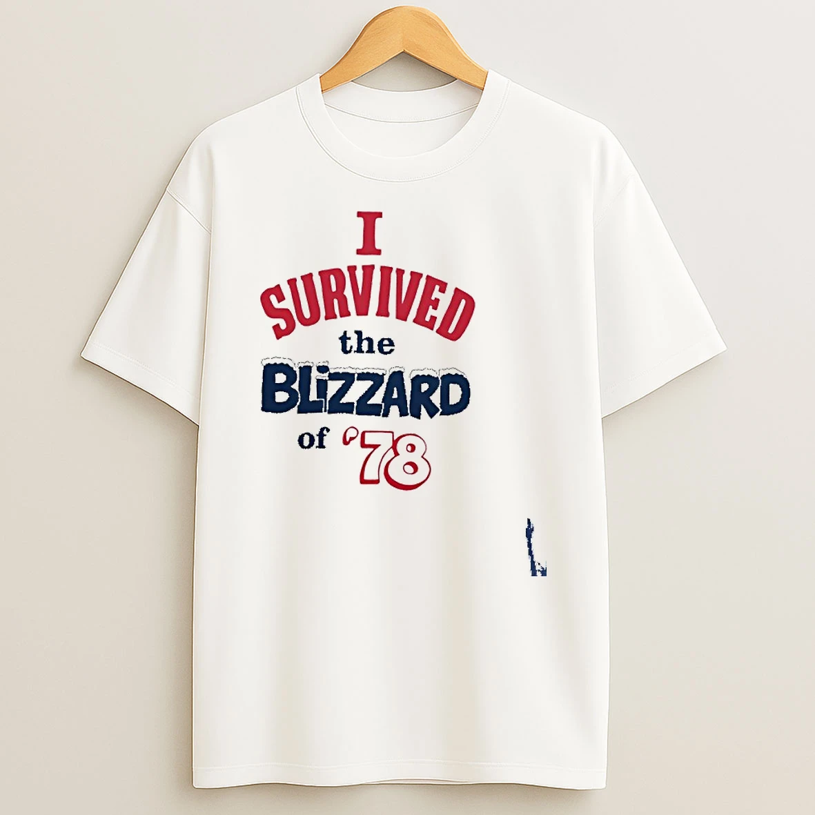 I Survived The The Blizzard 1978 2026 T Shirt