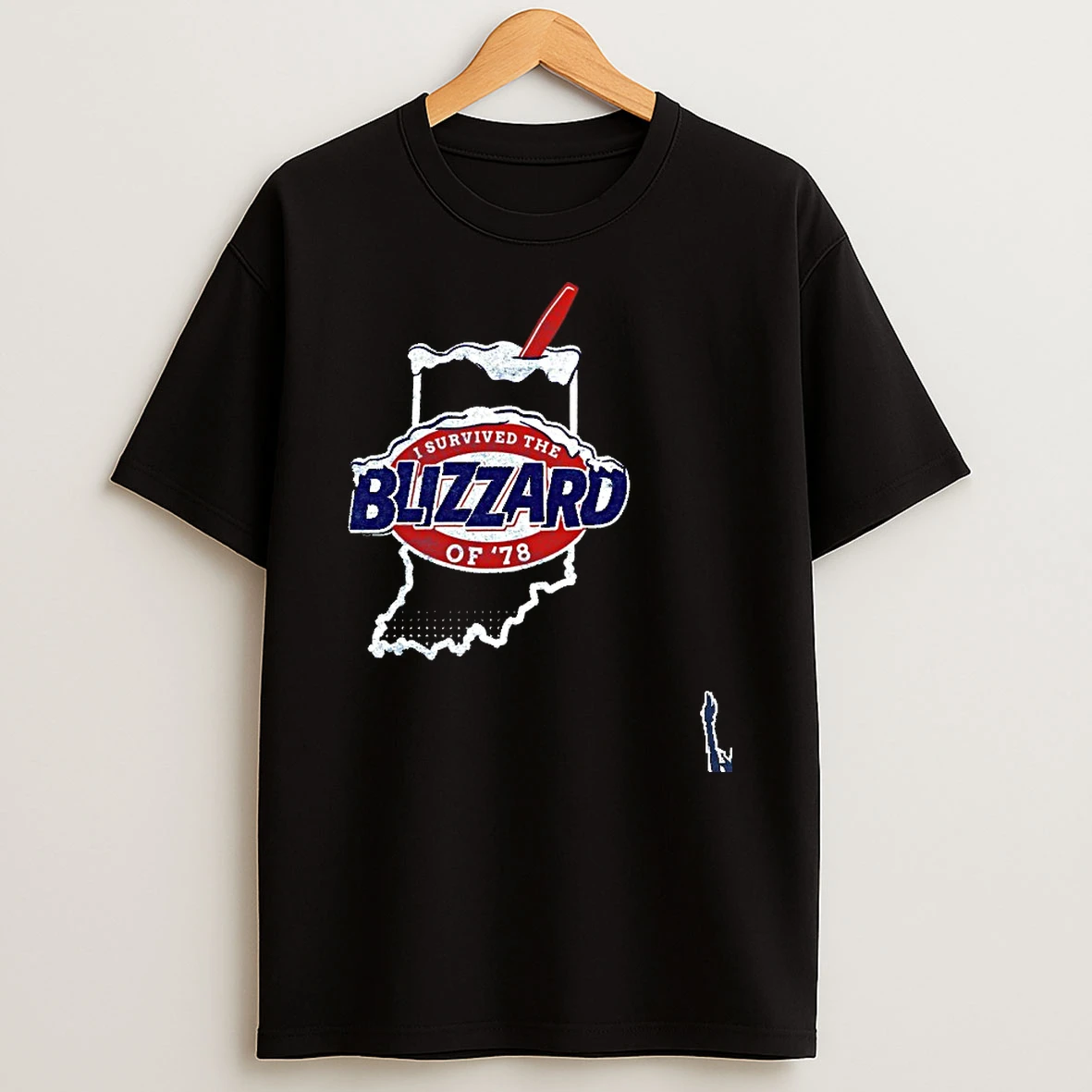 I Survived The The Blizzard Of 78 Snow T Shirt